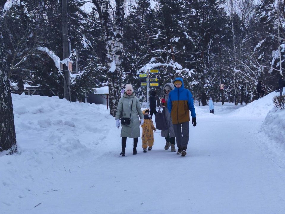 ����� ���������� �������: ��� ��������� ��� ������� � �������