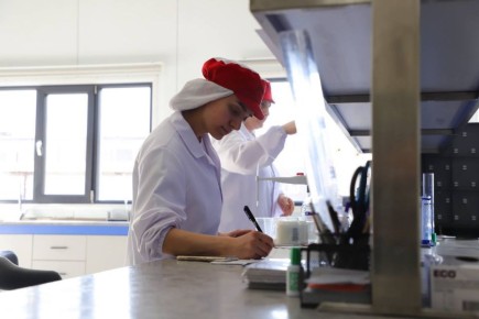 ������� �������� �� ����������� ������� ����