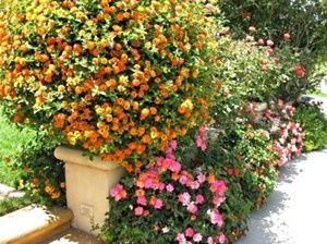 �������������� ����: �������� ����������� ����� ��� ������ ���������