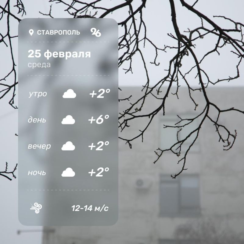 ������ � ���������� 25 �������