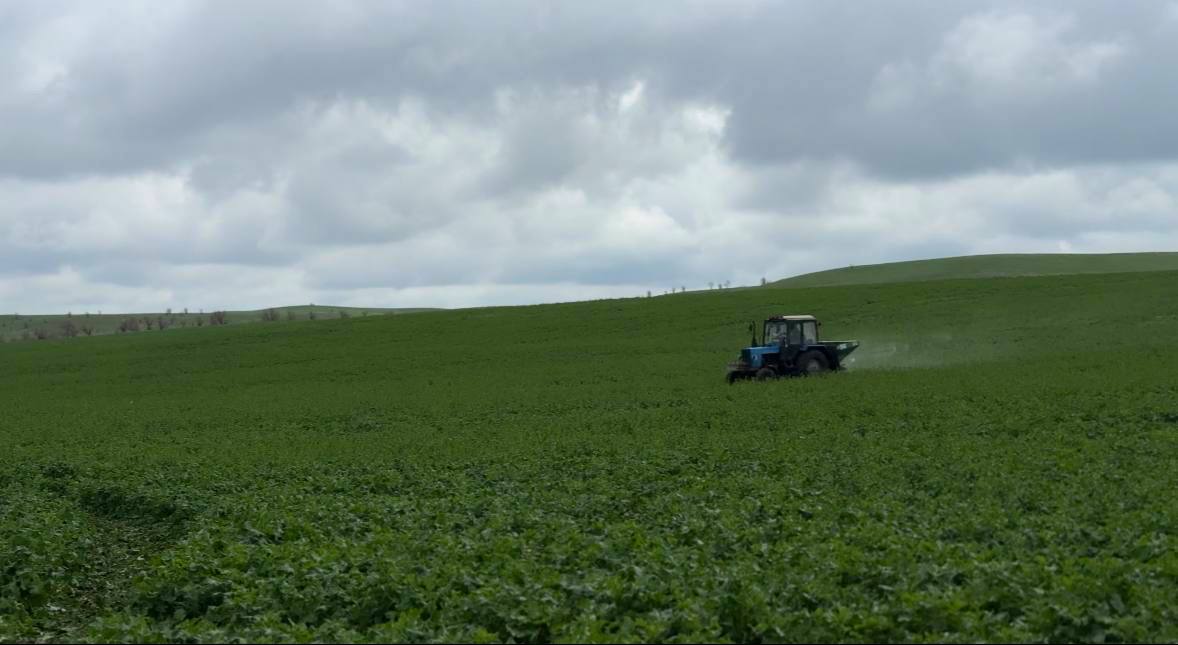 Аграрии Ставрополья приступили к первой азотной подкормке озимого клина