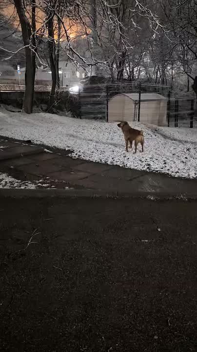 � ���������� ���� � ����������� �������