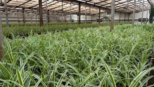 ����������� ���������� ������� �������� � �����