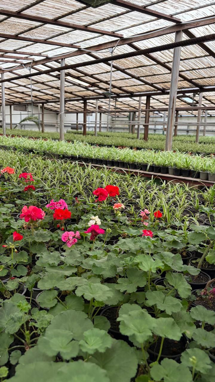 Иван Ульянченко: Работники «Горзеленстроя» приступили к активной фазе подготовки к весне Иван Ульянченко: Работники «Горзеленстроя» приступили к активной фазе подготовки к весне