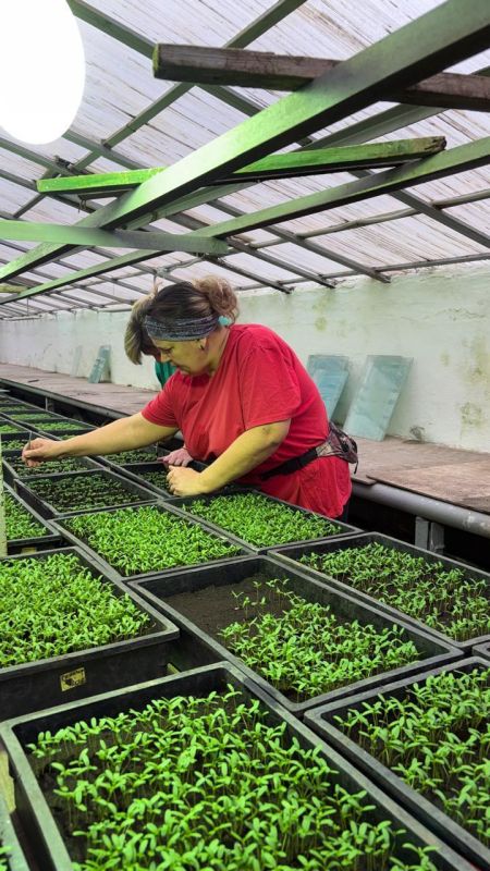 ����� 900 ����� �������� ������� ���������� � ����� ��������� ������: � �������� ����������� ������ ��������, ���� ������������ �������� �������