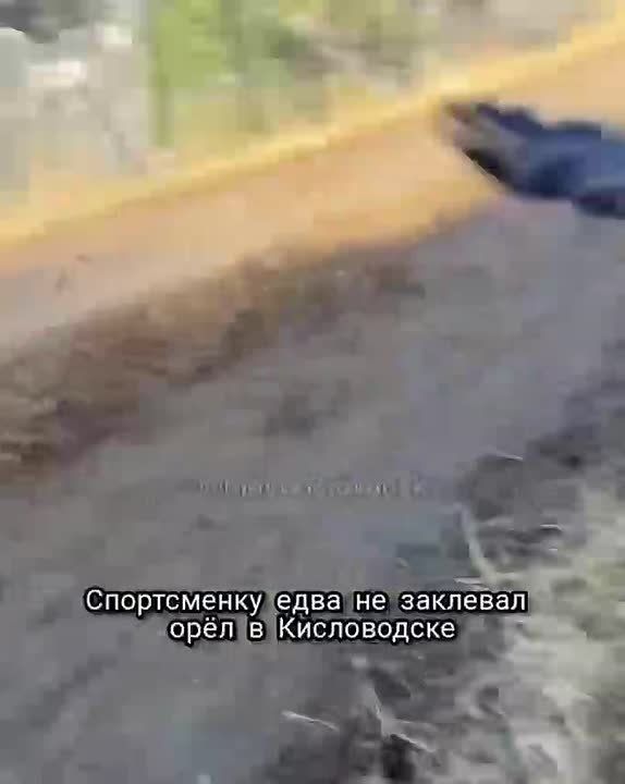 ���� ���� �� �������� ����������� � �����������