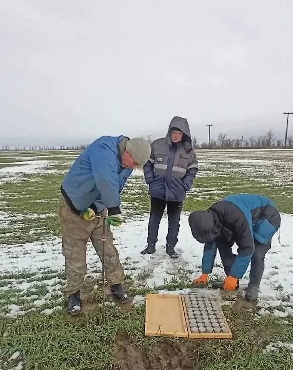 �������������� ���� ������� ��������� ������ ����� � �����, ����� ���������� ���������� ���� ������ ������� � ������� ������ � 2026 ����