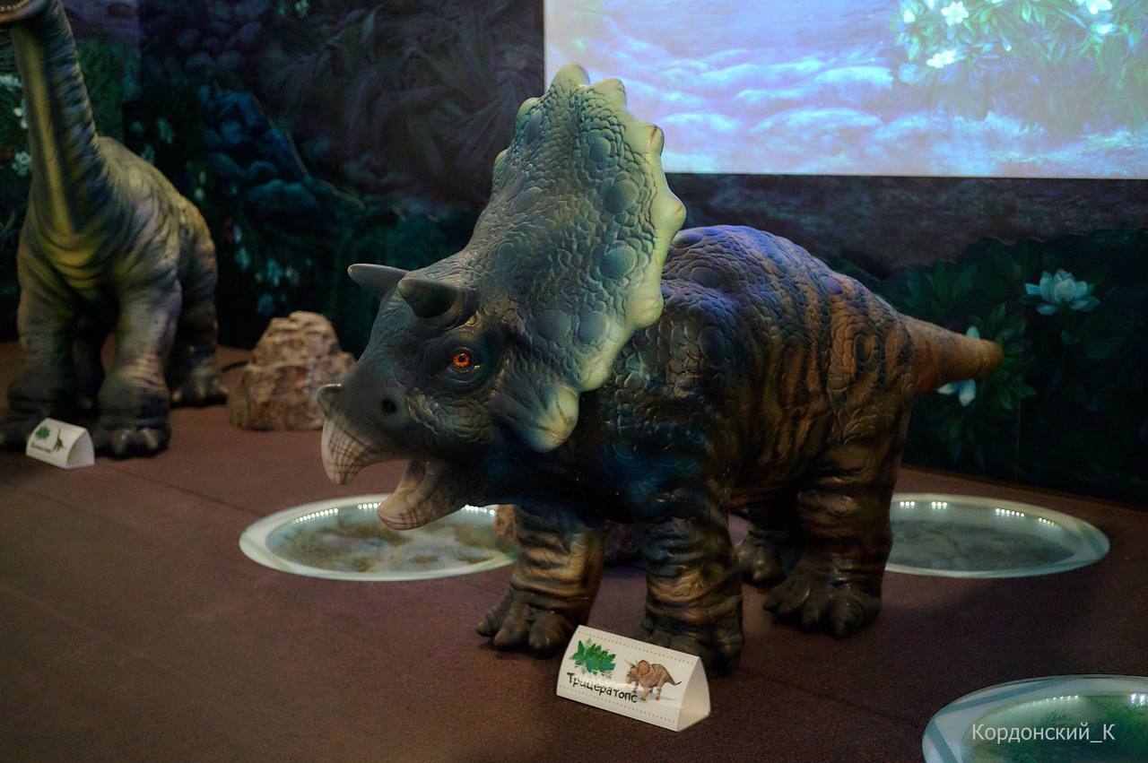 ЗА НОВЫМИ ЗНАНИЯМИ - В ВИЗИТ-ЦЕНТР! ЗА НОВЫМИ ЗНАНИЯМИ - В ВИЗИТ-ЦЕНТР!