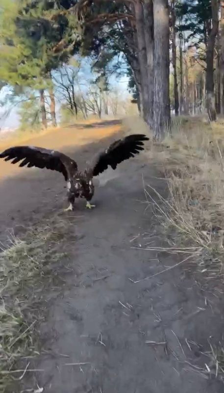 ��� ����� �� ����������� � �����������