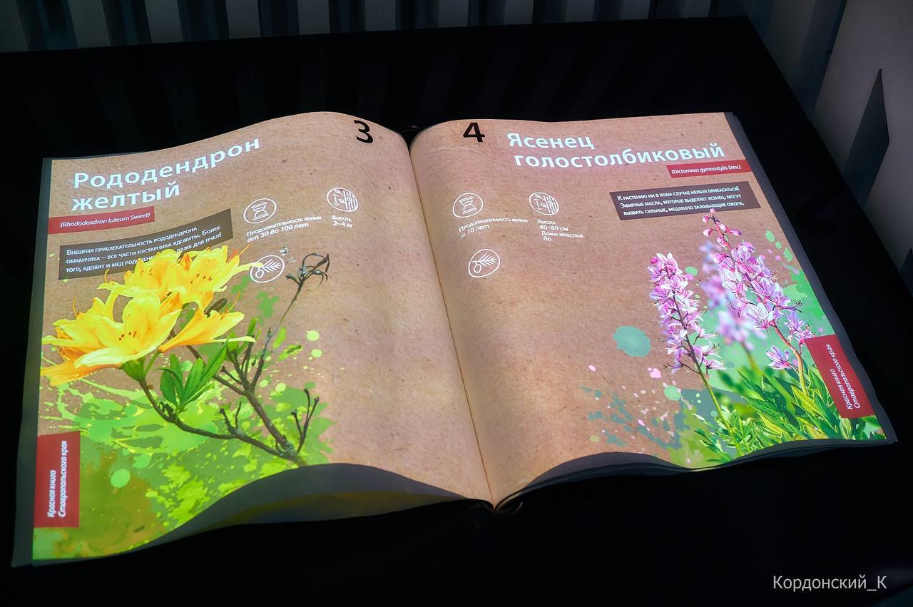 ЗА НОВЫМИ ЗНАНИЯМИ - В ВИЗИТ-ЦЕНТР! ЗА НОВЫМИ ЗНАНИЯМИ - В ВИЗИТ-ЦЕНТР!