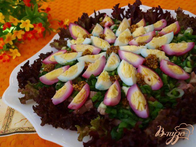 ����� ���������