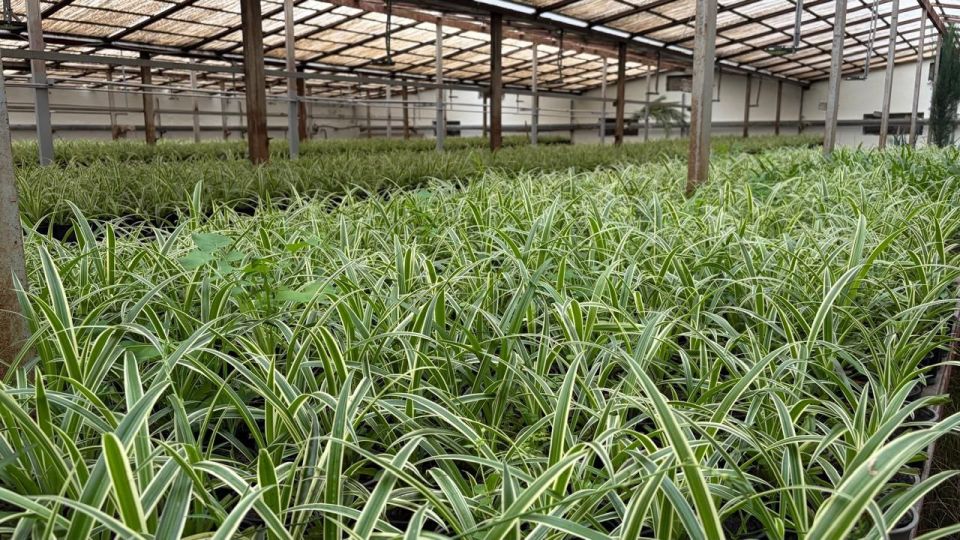 ���� ����������: ��������� ��������������� ���������� � �������� ���� ���������� � �����