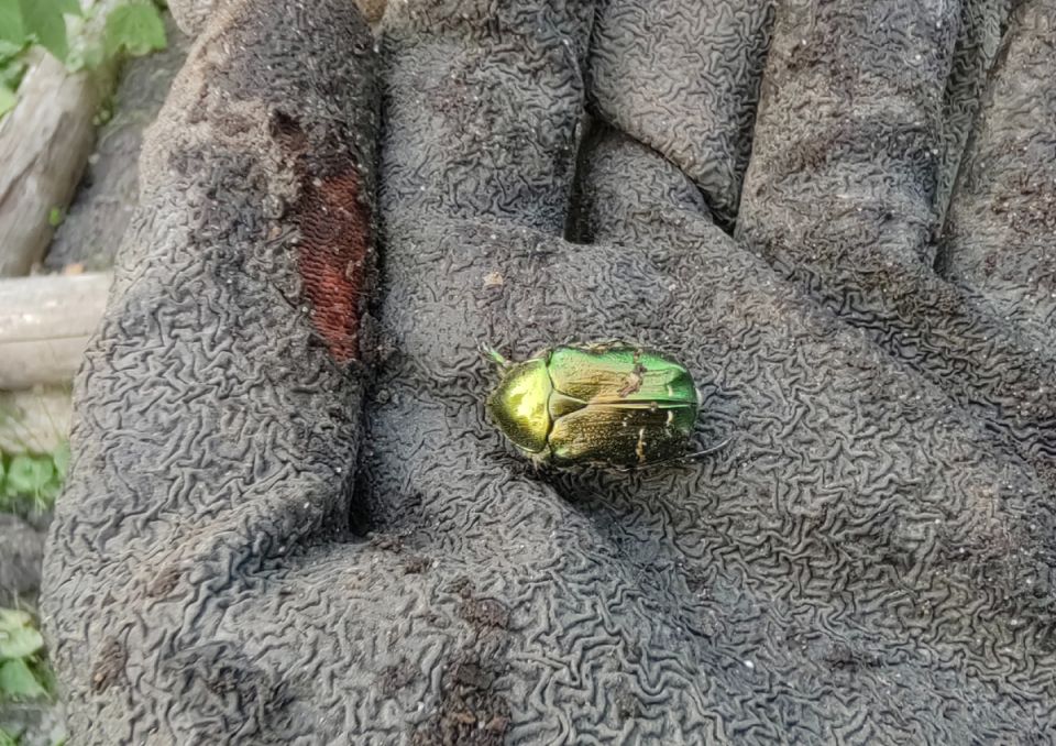 ������� ������ ���: ��� ���������� � ������ � ��������