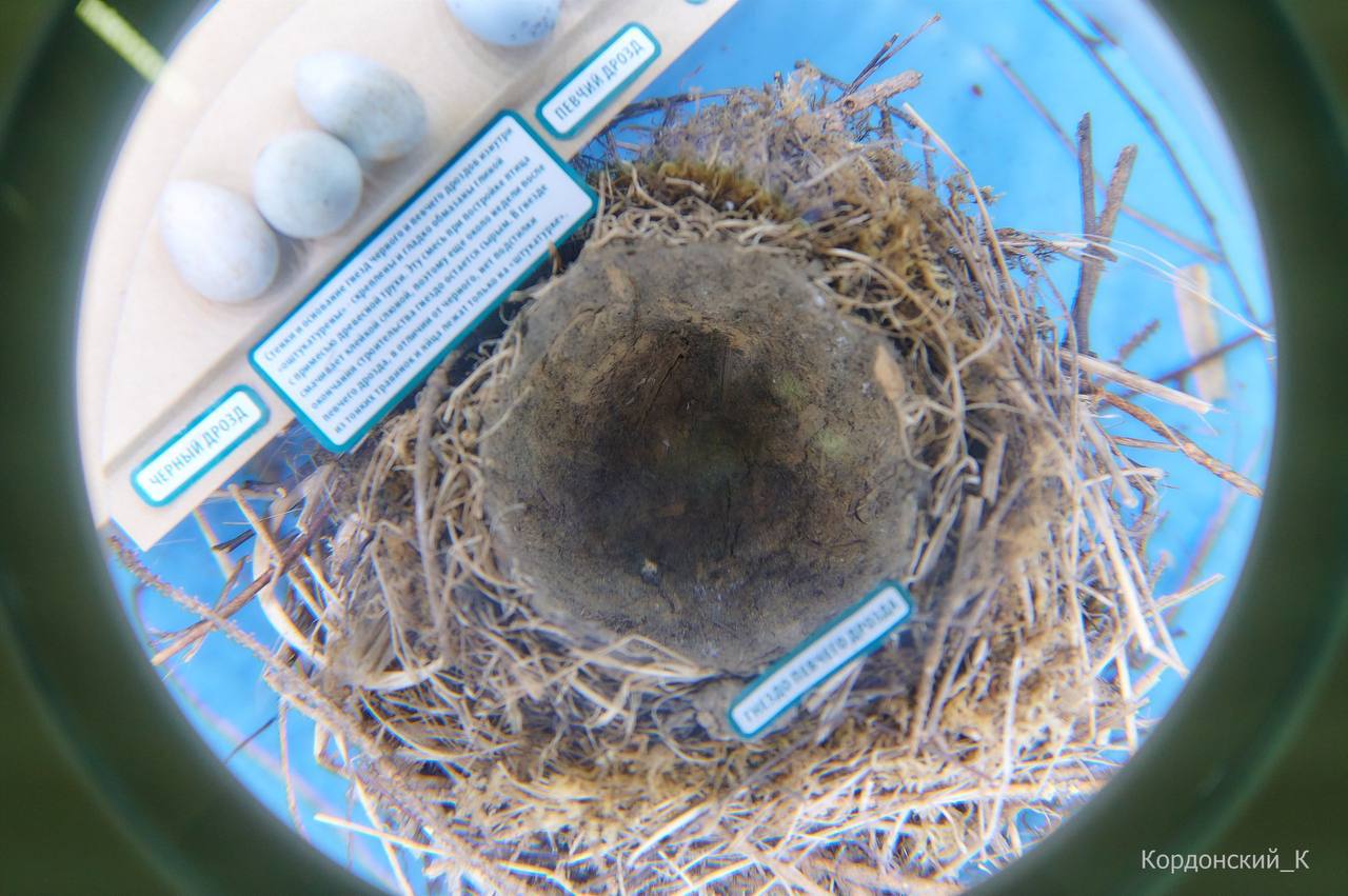 ЗА НОВЫМИ ЗНАНИЯМИ - В ВИЗИТ-ЦЕНТР! ЗА НОВЫМИ ЗНАНИЯМИ - В ВИЗИТ-ЦЕНТР!