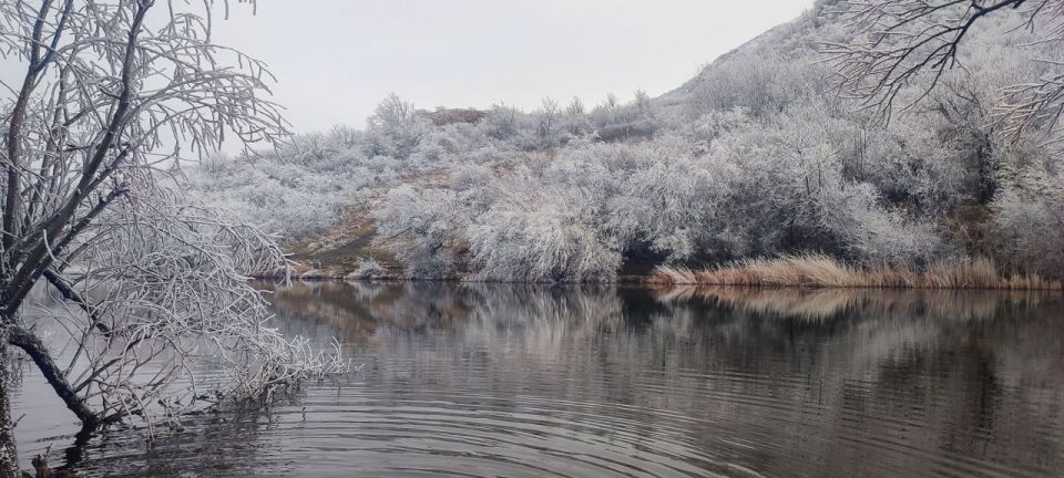 ��������� ��� ���� �� ���� ������