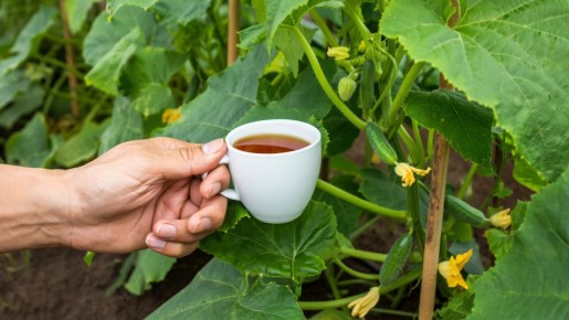 ������ ������� ��������� ������� � ���� ��� ��������� ������ �� �����