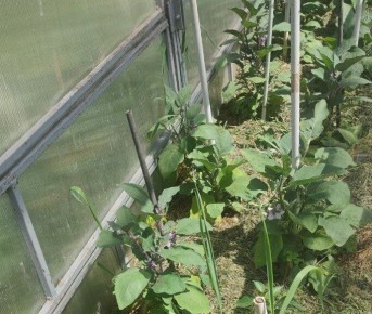 ����� ��������� ������ ����������: ��� ������� �������