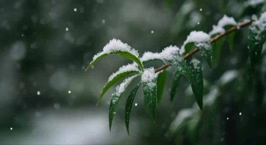 �� ������ ����������, ������ �� ����������� ����, ������ ����, � ����� ����� ������� ������� ����, � ������ �������� ��� �����, ��������-����������� ���������