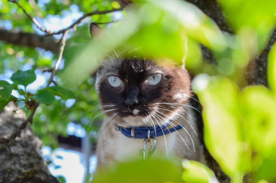 �������� ����� ������� �� ����