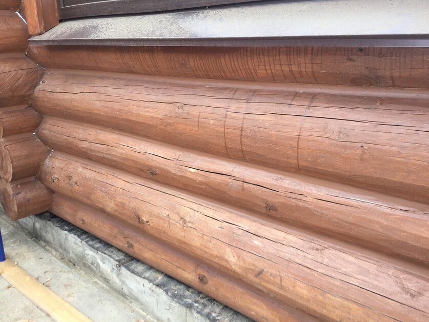 Эффективные методы борьбы с грибком на древесине