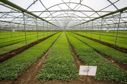 ���������� ��������� ������: ������� ����� ����� �������� ������