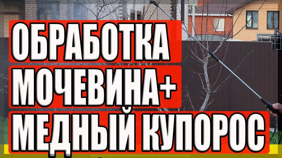 ���������� ��������� � ������� ��������: ������������ ������� ��� �������� ����