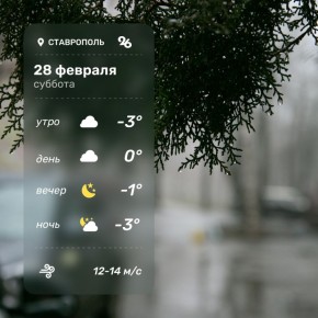 Доброе утро!. Погода в последний день зимы