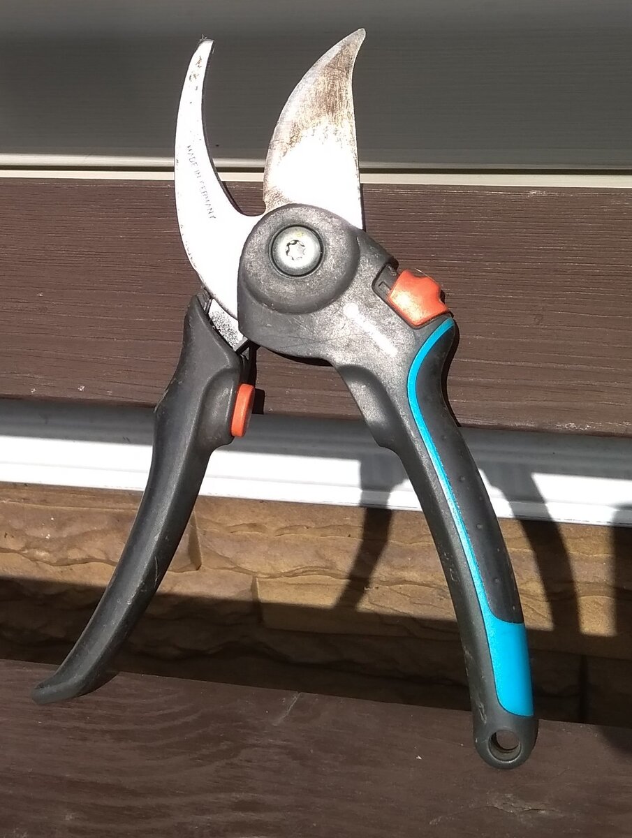 Ремонт секатора своими руками: как вернуть инструменту жизнь
