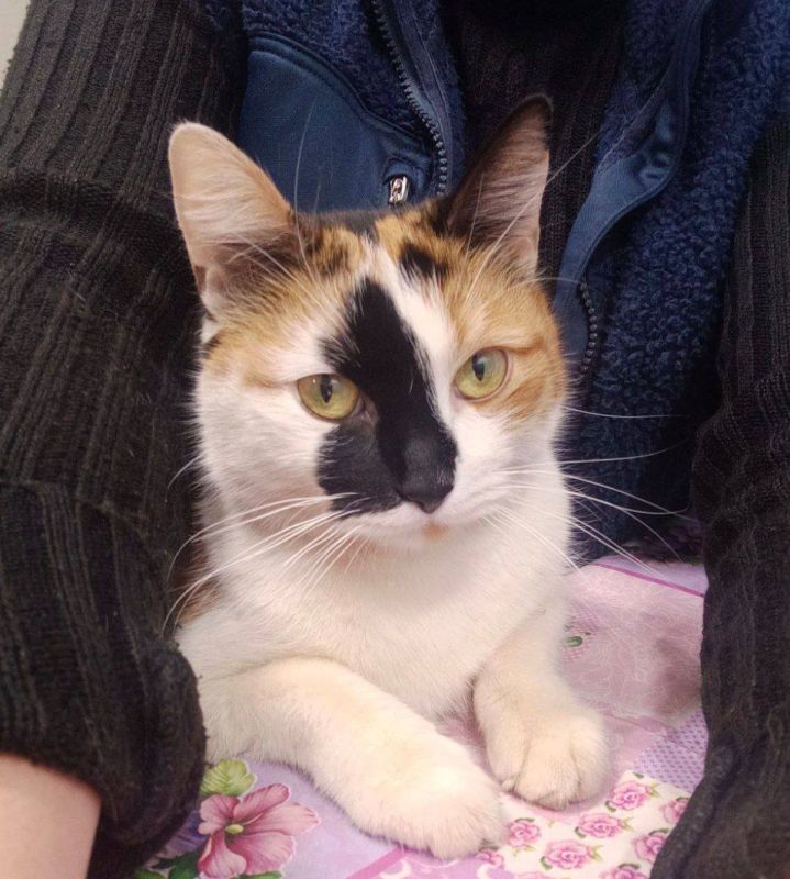 ������� ������� ������ ��� ��������� ����������: ���� �������� ��������� ���� ����