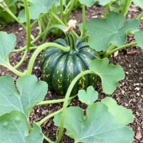 ����� �� ������: ������� ��������� ������