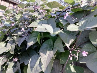 ����� �������� ����: ����������� �������� ������ ��� ����� ����