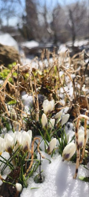 � ���������� ��������� �����!