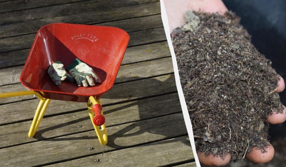 ��� �������� �������� �� ������ ������� ��� �����