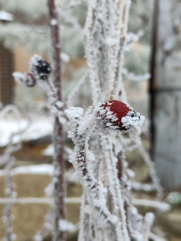 ����� ������! �� ��� �� �����