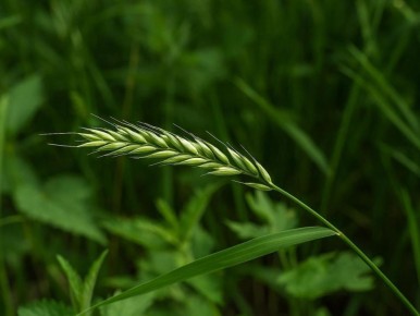 ��� ���������� �������� � ������ ������: ����������� ������