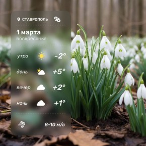 � ������ ���� �����!. ������ � ���������� �������