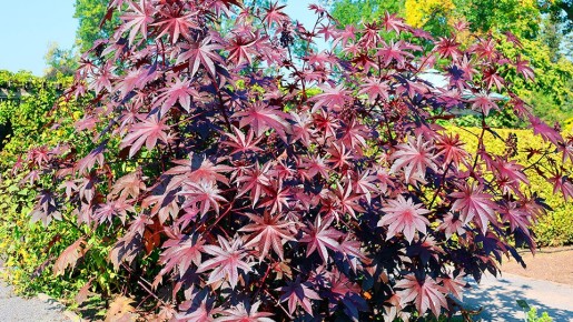 ���������: ��� �� ��������� � ������ ��� ������ ��� �����