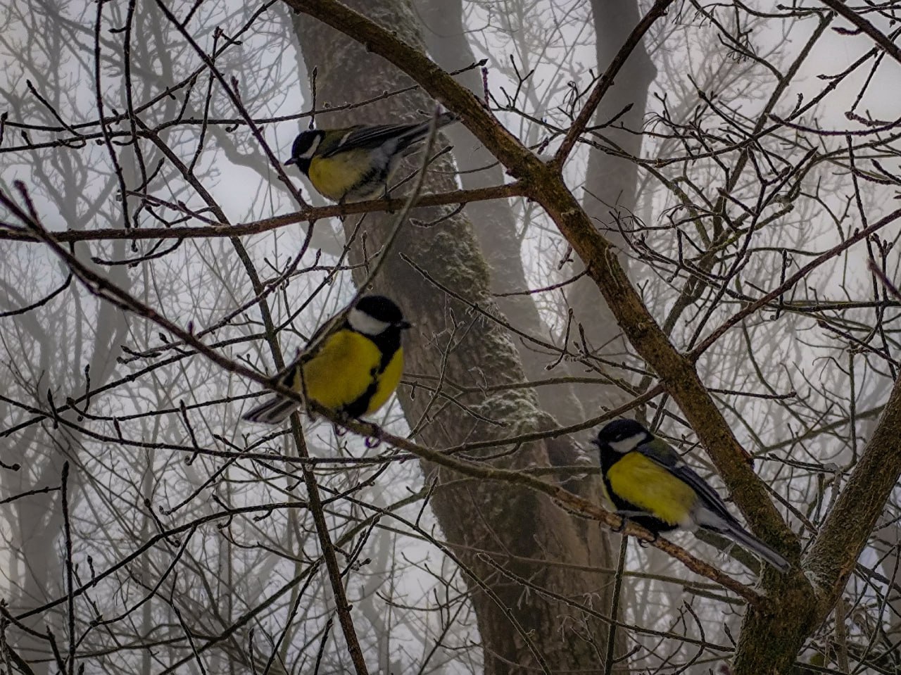 На Тропе здоровья в Ставрополе