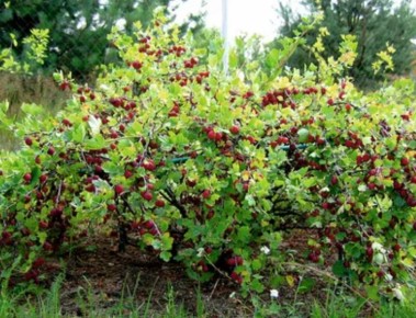 ��������� � ���������: ��� ��������������� ���� ����� �������� � ���������