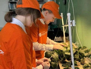 �������� ���������� � ���� ���������������� ������ ����������� � ����� ��������� ���