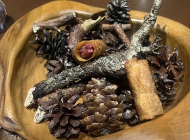 ���������� ��������� � ��������� 'Bourgeois Bohemians'