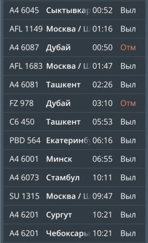 В аэропорту Минвод массовые отмены и задержки