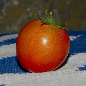 ����� ������-21: ������� ������ � �������� ������������ ��� �����������