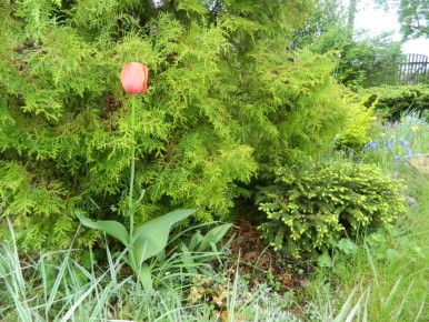 ��� � ������� ��������� ������� �������� �� ������������ �������