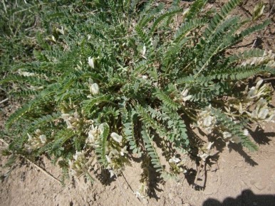 ��� ������� ����� �������, ��� �� ������: ����� ������ ���������� �������� � ����� ���� �����