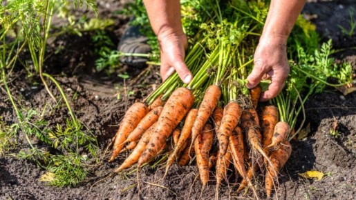 ����� ������� ������ � �������: ���� ��������� �� ���������� � �����