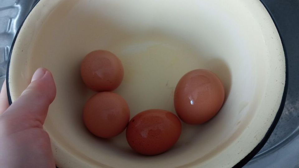 10 ��������� ��� ����, ������� �������� ���� �����