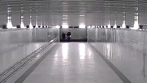 Иван Ульянченко: Двое молодых ребят - парень и девушка - вчера намеренно повредили две камеры видеонаблюдения в пешеходном переходе на проспекте Кулакова