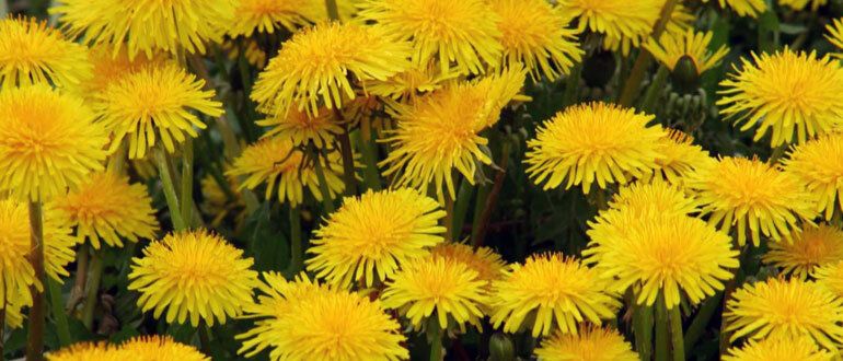 ��� ������� ����� ������ � ����������� ���� �����