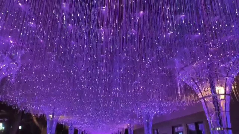 ���� ����������: �������� � �������� ����� ������ ����� �������� ������� �� ��������� ����������� ���������